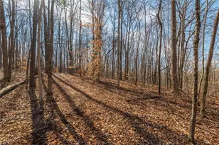 582 Temple Draketown Rd, Temple, GA 30179 - Photo 65