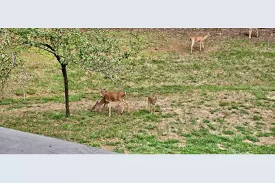 582 Temple Draketown Road, Temple, GA 30179 - Photo 73