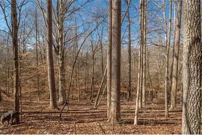 582 Temple Draketown Road, Temple, GA 30179 - Photo 71