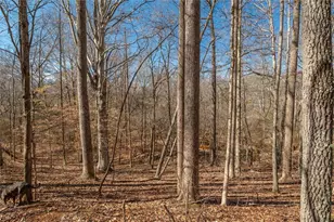 582 Temple Draketown Rd, Temple, GA 30179 - Photo 71