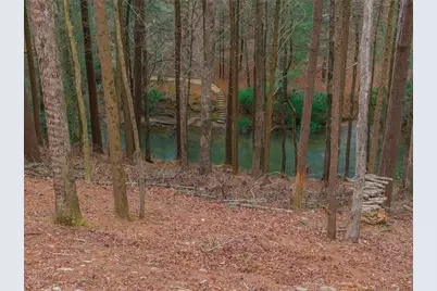 121 Indian Lane, Ellijay, GA 30540 - Photo 35