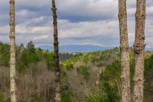 121 Indian Ln, Ellijay, GA 30540 - Photo 15