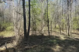 78 Mullinax Rd, Taylorsville, GA 30178 - Photo 1