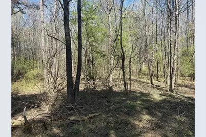 78 Mullinax Road, Taylorsville, GA 30178 - Photo 3