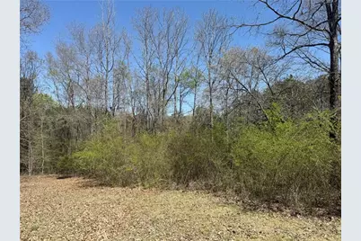78 Mullinax Road, Taylorsville, GA 30178 - Photo 1