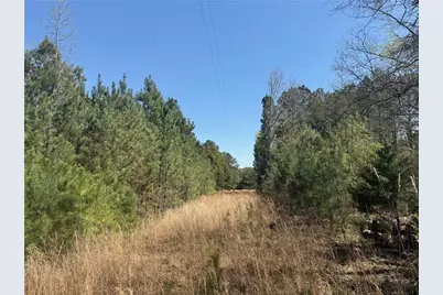 78 Mullinax Road, Taylorsville, GA 30178 - Photo 5