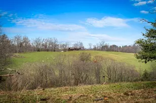 416 Windy Valley Trl, Blue Ridge, GA 30513 - Photo 39