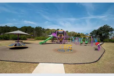 19 Harpers Farm Drive, Newnan, GA 30263 - Photo 39