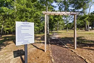 253 Chatuge Dr, Hoschton, GA 30548 - Photo 79