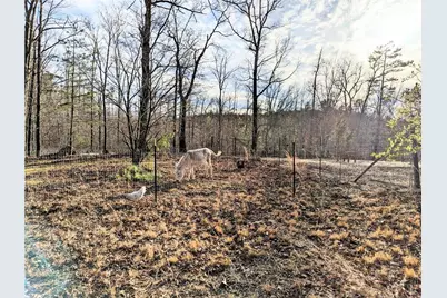 421 Dogwood Lane, Rising Fawn, GA 30738 - Photo 15