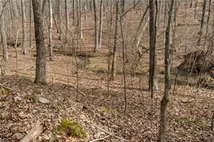 9710 S Helton Rd, Winston, GA 30187 - Photo 27