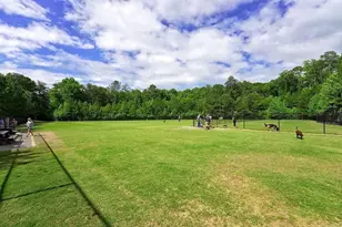 110 Sleeping Fawn Knoll, Big Canoe, GA 30143 - Photo 51