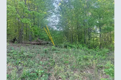 0 Mountain View Circle, Bremen, GA 30110 - Photo 7