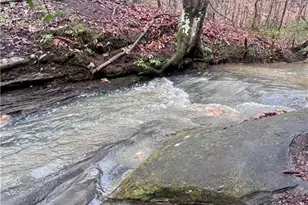 100 Buckwood Farms Path, Dallas, GA 30132 - Photo 69