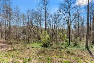 426 Old Clarksville Hwy, Cleveland, GA 30528 - Photo 31