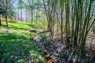 1121 Hwy 27 N, Bremen, GA 30110 - Photo 61