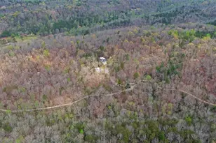 3256 Long Branch Rd, Dahlonega, GA 30533 - Photo 69