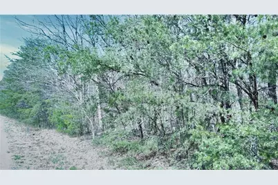 0 157 Highway, Rising Fawn, GA 30738 - Photo 17