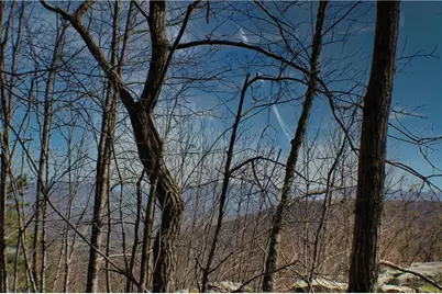 0 157 Highway, Rising Fawn, GA 30738 - Photo 3