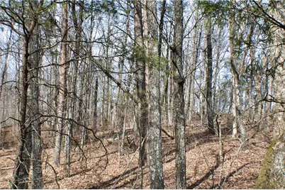 0 157 Highway, Rising Fawn, GA 30738 - Photo 7