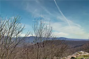 0 157 Hwy, Rising Fawn, GA 30738 - Photo 1