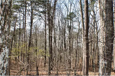 0 157 Highway, Rising Fawn, GA 30738 - Photo 9