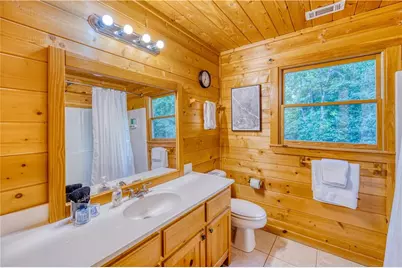 307 Bent Wood Lane, Blue Ridge, GA 30513 - Photo 29