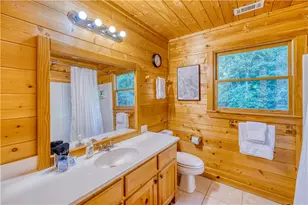 307 Bent Wood Ln, Blue Ridge, GA 30513 - Photo 29