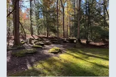 2320 Hardman Road, Clarkesville, GA 30523 - Photo 7