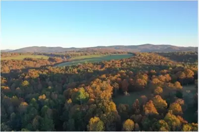 2320 Hardman Road, Clarkesville, GA 30523 - Photo 3