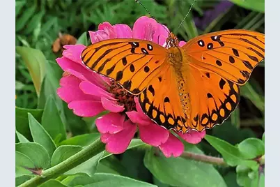 555 Hembree Grove Overlook, Roswell, GA 30076 - Photo 35