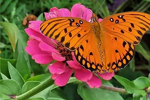 555 Hembree Grove Overlook, Roswell, GA 30076 - Photo 35