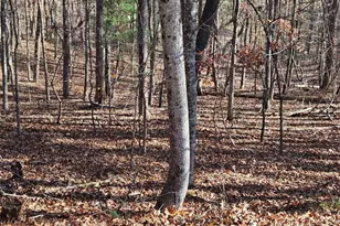 7629 Dogwood Way, Murrayville, GA 30564 - Photo 1