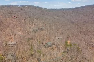 71 Cutthroat Ridge, Jasper, GA 30143 - Photo 43