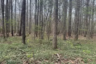 185 Melanie Ln, Fayetteville, GA 30214 - Photo 55