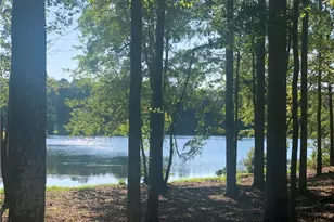 37 Farmstead Way, Senoia, GA 30276 - Photo 101