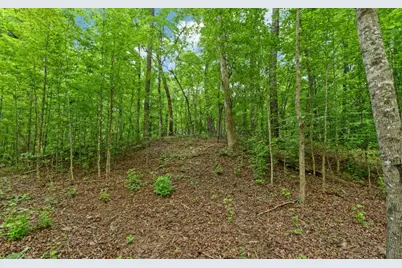 6755 Jake Kemp Road, Murrayville, GA 30564 - Photo 15