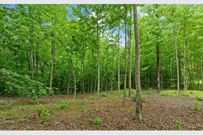 6755 Jake Kemp Road, Murrayville, GA 30564 - Photo 13