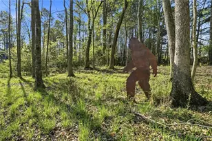 212 Silver Birch Ct, Alpharetta, GA 30004 - Photo 77