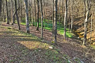 149 Hidden Creek Rd, Jasper, GA 30175 - Photo 49