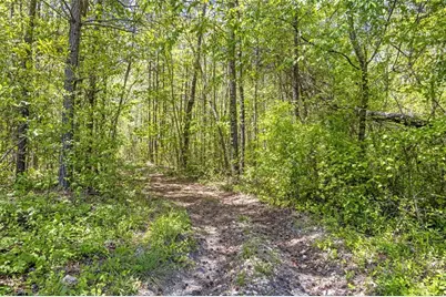 225 Hamrick Road, Bremen, GA 30110 - Photo 49