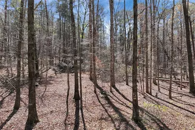 174 Goodson Road, Dawsonville, GA 30534 - Photo 29