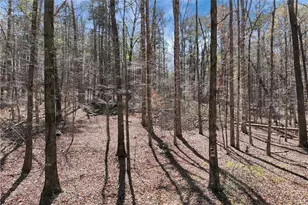 174 Goodson Rd, Dawsonville, GA 30534 - Photo 29