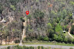 174 Goodson Rd, Dawsonville, GA 30534 - Photo 21