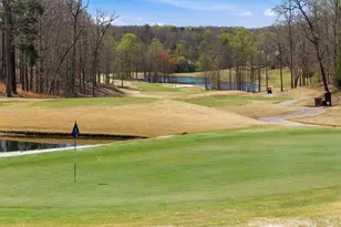 135 Night Fire Ln, Dawsonville, GA 30534 - Photo 79