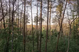 171 Huckleberry Ln, Mineral Bluff, GA 30559 - Photo 47