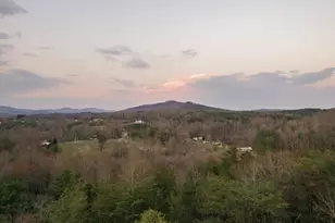 171 Huckleberry Ln, Mineral Bluff, GA 30559 - Photo 49