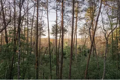 171 Huckleberry Lane, Mineral Bluff, GA 30559 - Photo 43