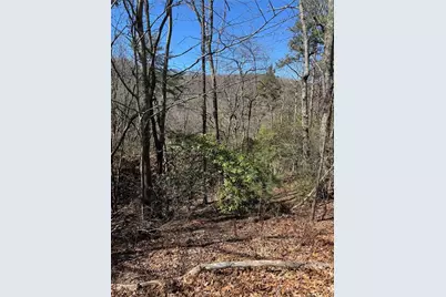 5504 Red Fox Drive, Big Canoe, GA 30143 - Photo 3