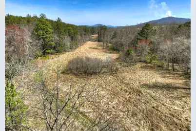 1489 Boy Scout Road, Blairsville, GA 30512 - Photo 41